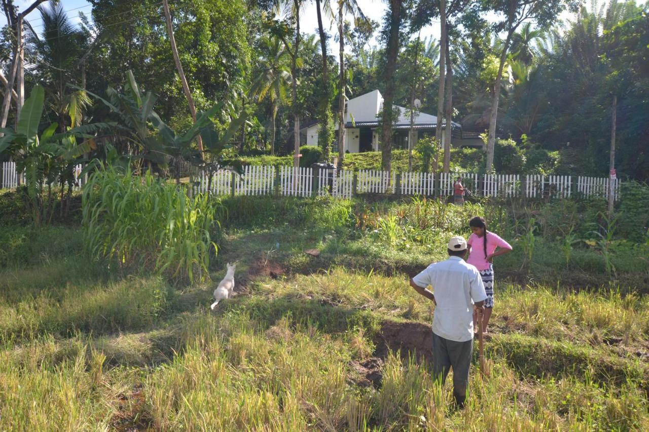 Henas Knuckes View Bungalow Hotel Matale Exterior photo