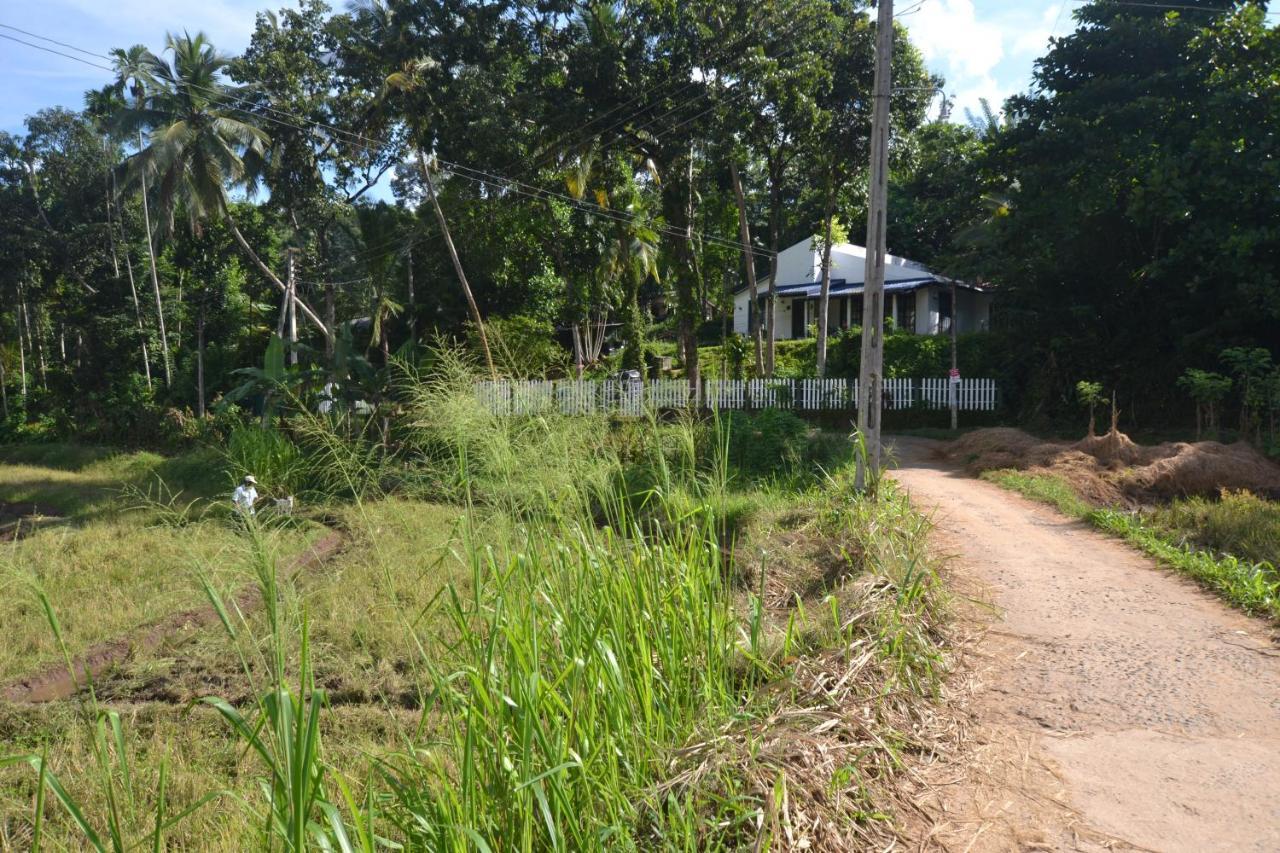 Henas Knuckes View Bungalow Hotel Matale Exterior photo